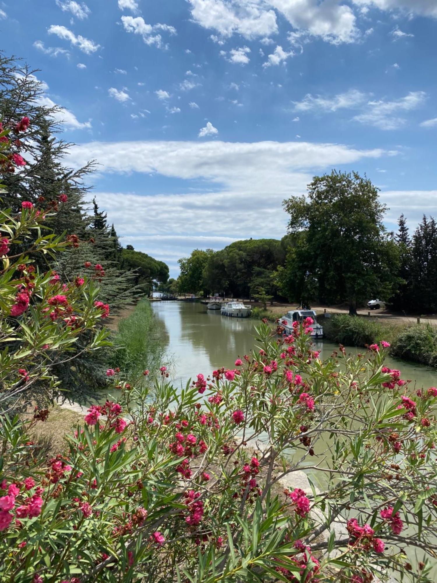 Le Relais D'Affiac Bed & Breakfast Peyriac-Minervois Exterior photo